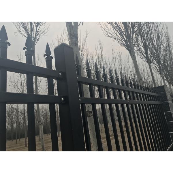 2.1m high x 2.4m width Steel Picket Fence Powder Coated Black Color China