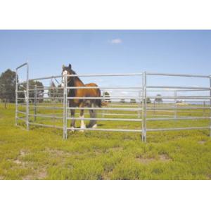 Rot Proof Heavy Duty Cattle Panel 40x40mm Square Galvanized Tube Livestock