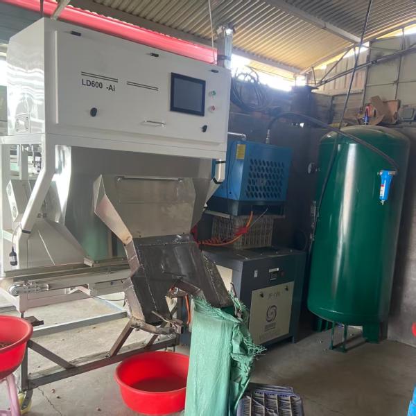 Quality DeepSort Crawler 3T/H - AI-Powered Almond Color Sorter wholesale