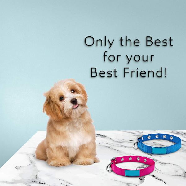 Handmade Nylon Dog Collars With Metal Buckle Customized 3 Sizes Optional