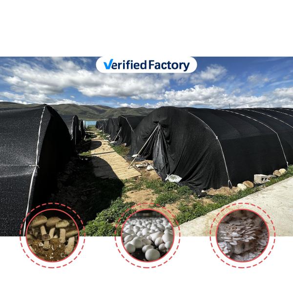 Quality Side Height 1.2-1.8m and Arch Space 1-1.5m Mushroom Poly Tunnel Greenhouse UV Protected wholesale