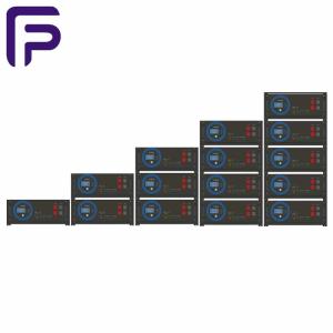 51.2V LiFePO4 Battery Pack 6000 Cycles Rack Lifepo4 Battery Module