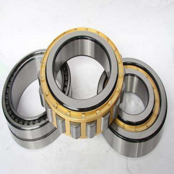 Quality Small Friction Coefficient Cylindrical Roller Bearing NU344-E-M1 For Machinery wholesale