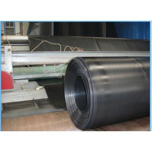 Customized Fish Growing Container Tank Liner Made of HDPE Material with UV