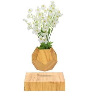 China new hotsale levitating magnetic floating bottom air bonsai tree flowerpot flyte on sale