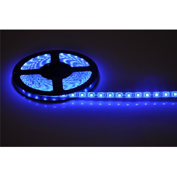 LED strip 5050 smd light 12V 24V IP65 Warm White 60LEDs per meter 300LEDs 5m 3 chip high LUMEN JALN7