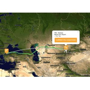 Cheap High Efficiency Air Freight From China To Asia Consolidation Service CATA IATA for sale