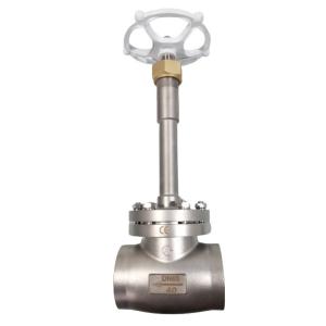 Manual Operation DN25 DN40 Cryogenic Socket Weld Globe Valve