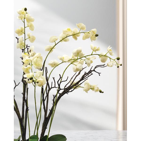 High Simulation 56cm Artificial Butterfly Orchid Flower Plant 6 Colors
