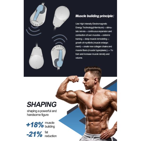 800W-3500W Lipo Laser Slimming Machine 6D EMS Body Slimming Machine