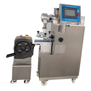 CE certificated P110 Automatic Small Fruit Ball Making Machine