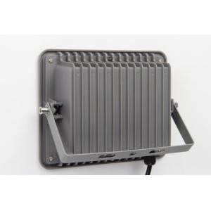 IP65 Motion Sensor Solar Flood Light With Poly Solar Panel