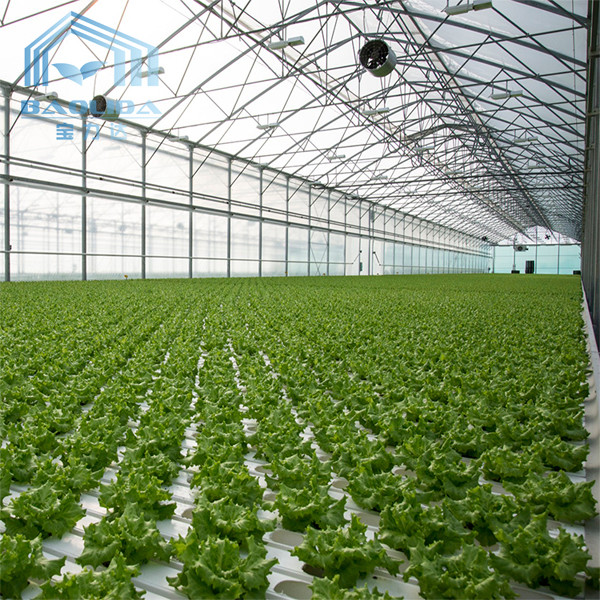 Quality Aquaponis Growing Poly Tunnel Plastic Greenhouse For Agriculture wholesale