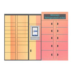 Goods Smart Refrigerated Locker Smart Electronic Vegetable Frozen