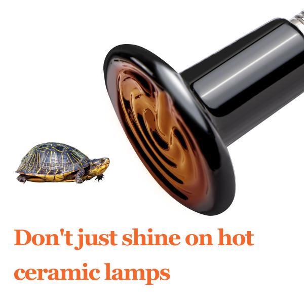 No Light Emitting Ceramic Heat Emitter Bulb For Amphibian Pet Incubating Chicken