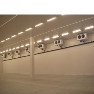 220V/380V/400V/440V Customized 50m*50m Cold Storage with Rack Refrigeration