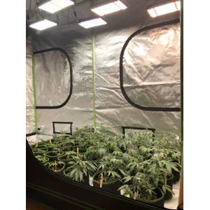 Small Grow Tent 60x60x140cm Full Planting Kits Samsung LM301H UV IR 120W LED