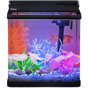 Smart 4 Gallon Desktop Betta Office Fish Tank