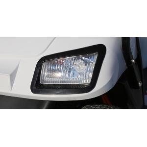 Purple Color Mini Two Passengers Golf Cart With Front Foldable Windshield And