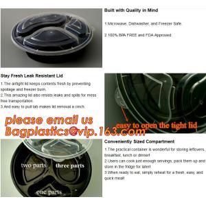 Reusable Take Away Plastic Salad Bowl With Fork And Dressing box and Source