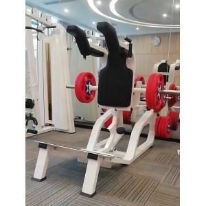 Vertical Calf Quads Hack Squat Machine Gym Commercial Plate Loaded