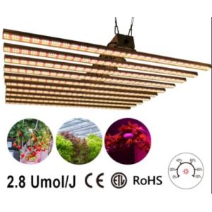 Cheap 1000W LED Plant Grow Light 10 In One Multifunctional 4 * 3.5ft Size FORZATEC for sale