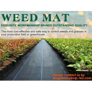 China Supplier Anti Weed Mat Weed Control Mat 100gsm PP Landscape Fabric Weed Barrier,Weed block mat keep damp and tempe