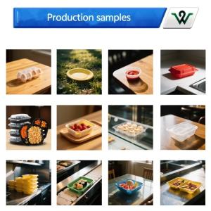 Fully Automatic Plastic Disposable Plates Machine Plastic Lunch Box Making
