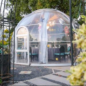 Transparent Clear PC 6m Geodesic Dome House Igloo With Aluminum Frame