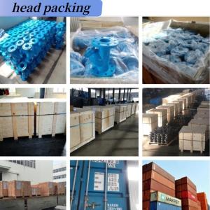 CI/DI/WCB Z41x Flanged Stem Gate Valve Soft Seal Ductile Iron Elastic Seat Seal