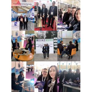 knife/spoon/fork pillow packaging machine, disposable plastic cutlery sets