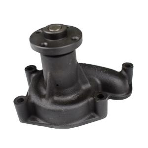 Engine Xinchang XC495 498BPG Water Pump Assy Cast Iron