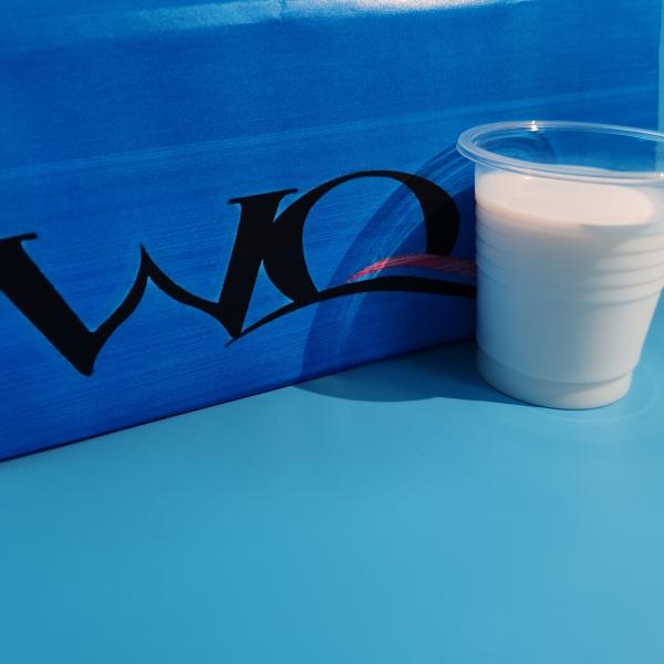 High-Performance Self-Crosslinked Acrylic Core-Shell Polymer Emulsion For Wood