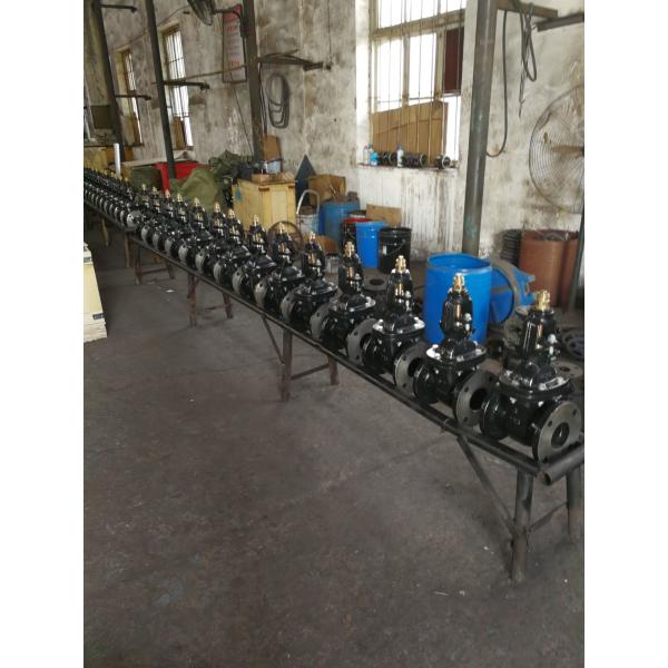 Quality (ANSI) Cast Iron Gate Valve O&Y flanged ends wholesale