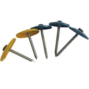 Cheap Round Cap Oem 25mm Roofing Nails With Plastic Washers for sale