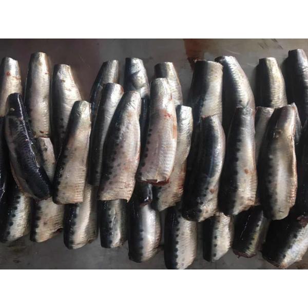 Natural Glaze HGT Fresh Frozen Sardines For Canning