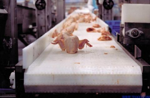 Quality                  High Quality PVC Belt Curve Conveyor for Package              wholesale