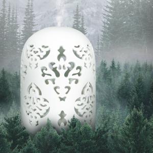 7.2W 100ml Ceramic Ultrasonic Diffuser Essential Oil Reed Diffuser