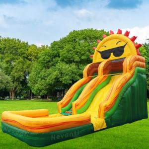 Digital Printing Inflatable Water Slide Custom Tropical Backyard Waterslide with