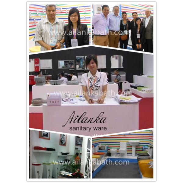 Middle East Bathroom Sanitary Ware Ceramic S-trap250 Roughing-in Washdown One-piece Toilet