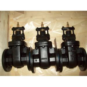 (ANSI) Cast Iron Gate Valve