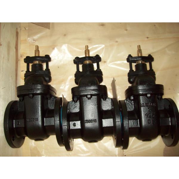 Quality (ANSI) Cast Iron Gate Valve wholesale