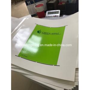 High Versatility Automatic Flexo Printing Machine 1/8cp Gearing 1000mm Width