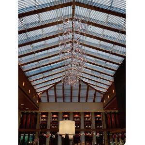 Non-Standard Custom Hotel Project Light Department Banquet Hall Glazed Grid Led