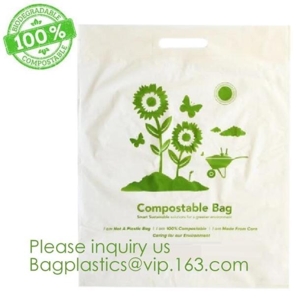 Cornstarch Biodegradable Compostable Bags PLA PBAT BIO BAGS, BIO SACKS, Handle