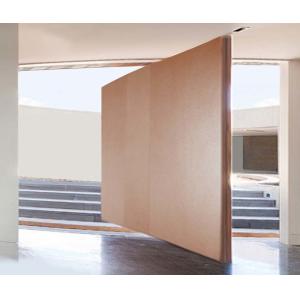 Modern Front Door Solid Wood Pivot Entry Door With Frosted Glass