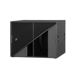 ARE Audio Dual 12" Line Array Outdoor System PA System Set Monitor Speaker for