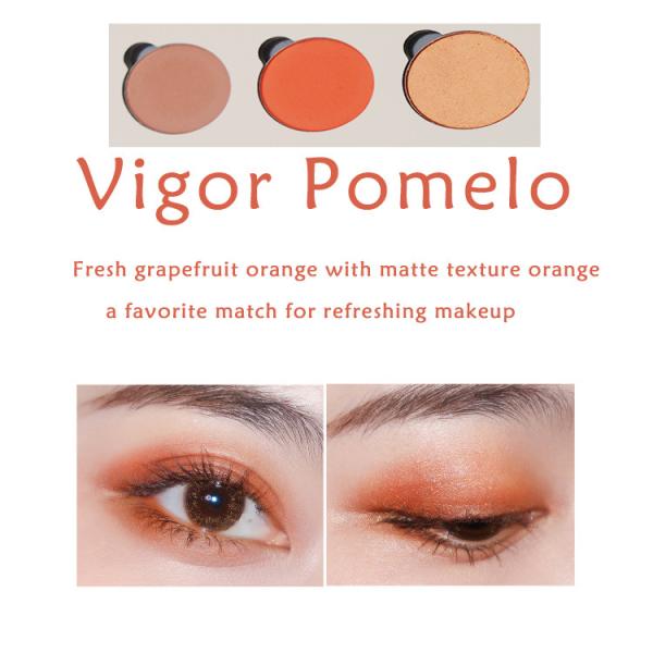 500pcs Dramatic ISO Mineral Makeup Eyeshadow Palette 16.2*12.3*3.3cm