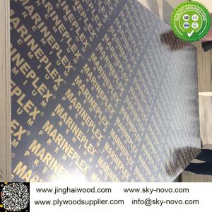 China Black film faced plywood /formwork/shuttering boards on sale