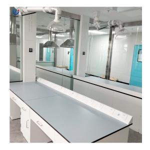 Customizable Lab Wall-Mounted Bench With Length*W750*H850mm And Ceramic Table